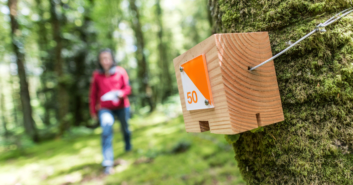 LA COURSE D'ORIENTATION